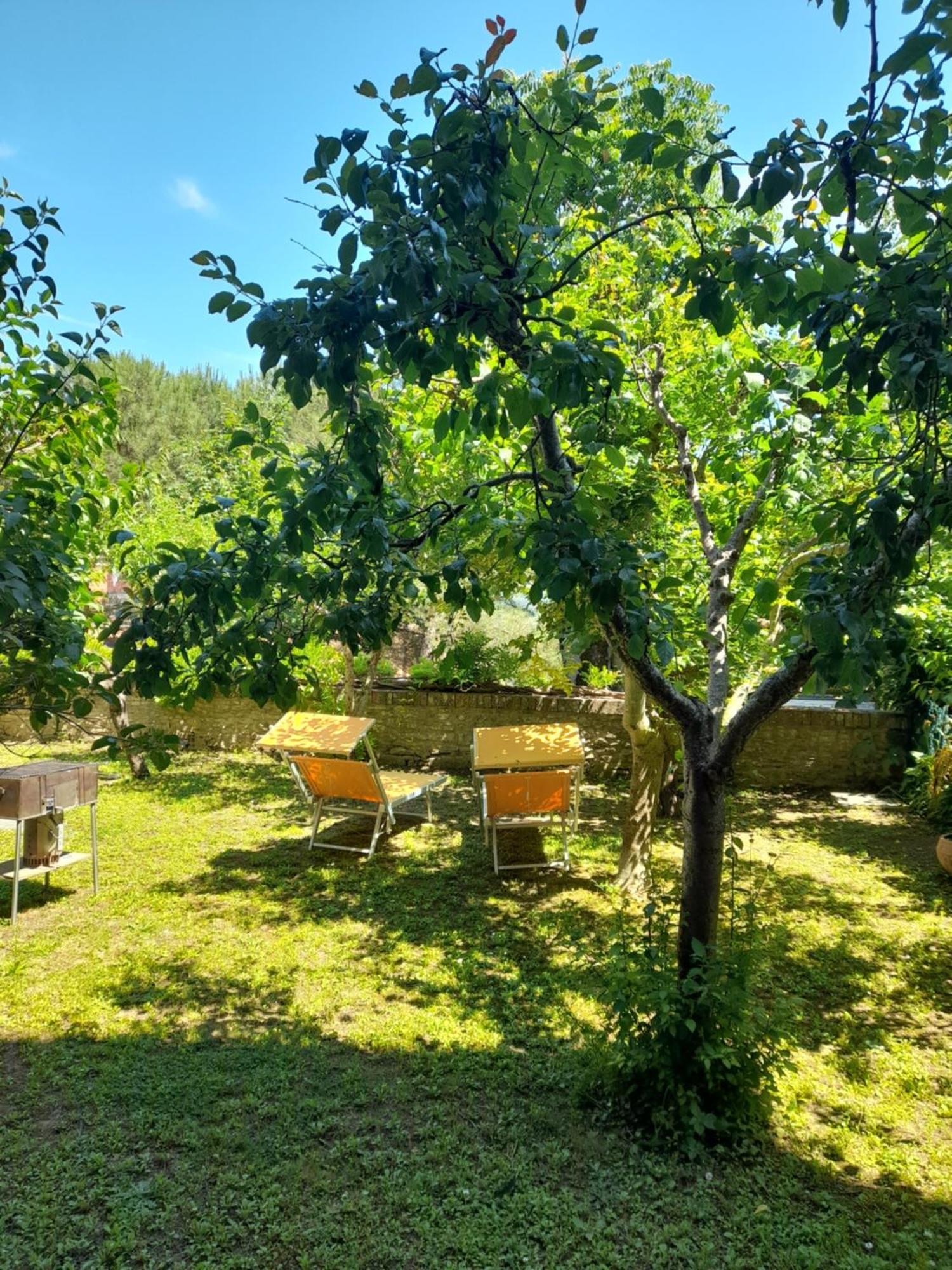 "Il Pollaio" Guests House Daire Panicale Dış mekan fotoğraf